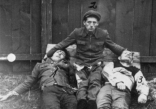 Świat wg Agnieszki Holland