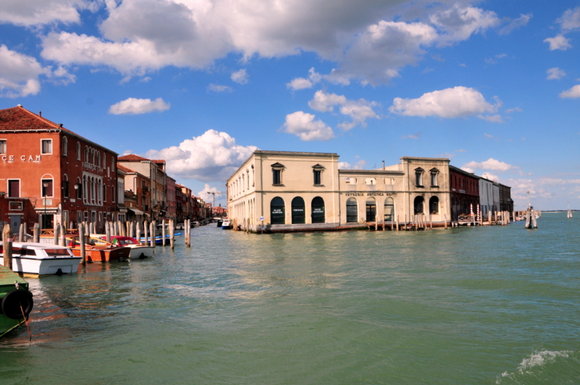 Muranowiak na Murano ( 2 )