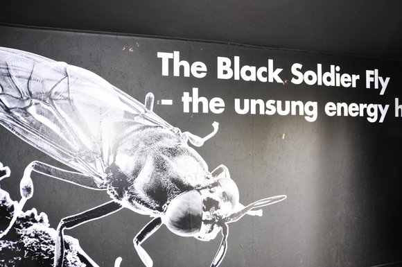 Piłkarze z prądem.