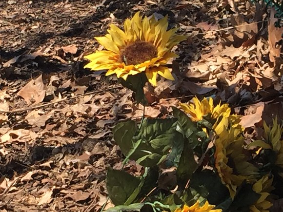 17-ście Mgnień Wiosny